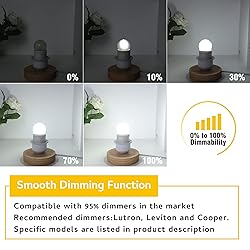 Dimmable 3W LED Bulb Equivalent 25 Watt Light