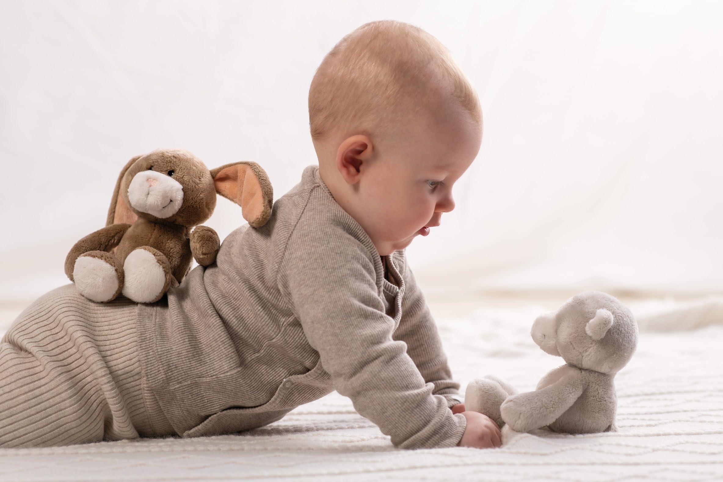 NICI Kuscheltier Hase Lopino 20cm in Geschenkbox 22,5x12,5x7cm - braun - Stofftier aus weichem Plüsch, niedliches Plüschtier zum Kuscheln und Spielen, für Babys & Kleinkinder 2