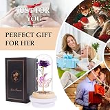Beferr Colorful Forever Rose with Glass Dome LED Base Gift for Mum Women view 7