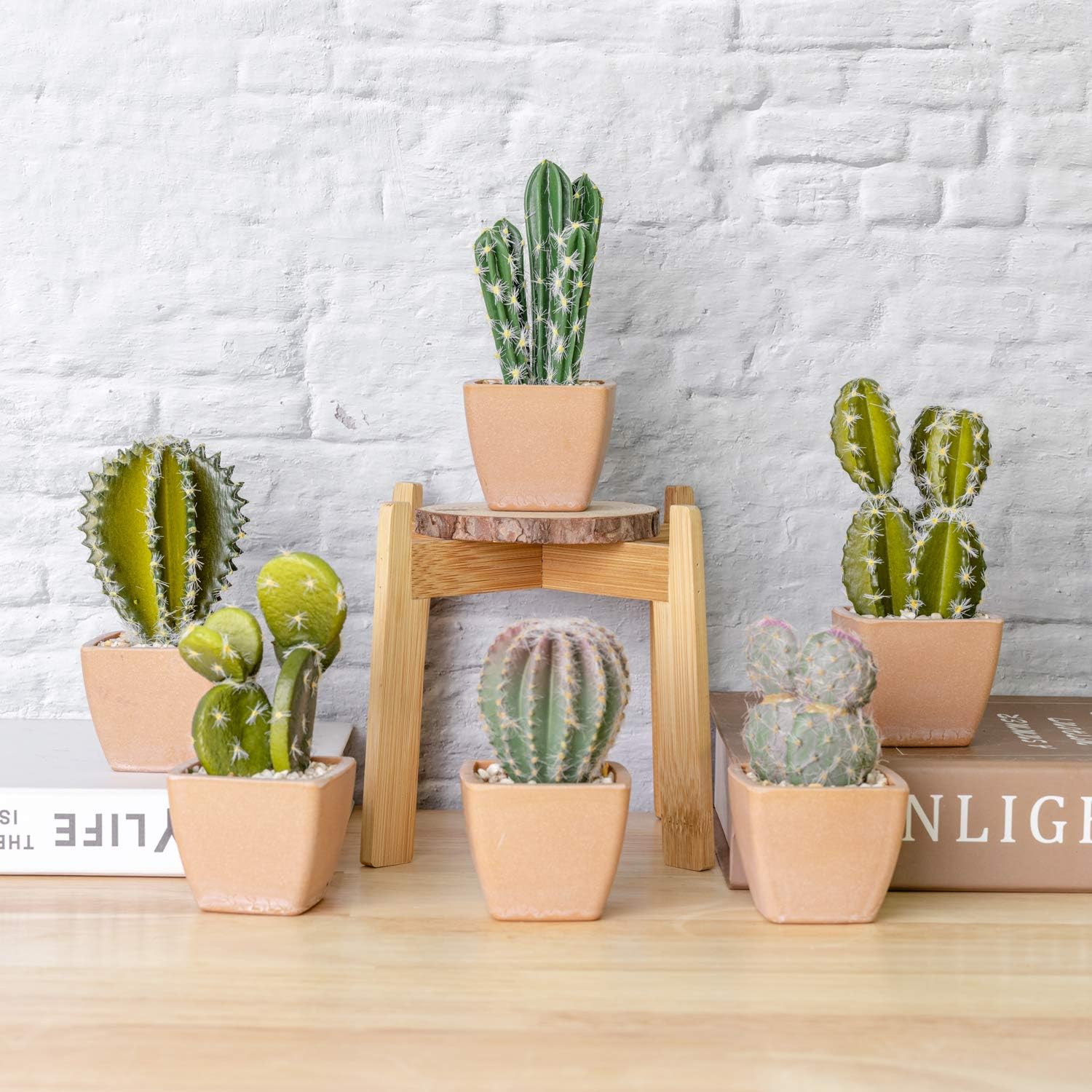 T4U Assorted Artificial Succulent Potted Plants Decorative Plastic Faux Cactus with Pots, Pack of 6 -