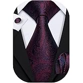 Barry.Wang Paisley Tie Fashion Set Hanky Cufflinks Neckties for Men Woven Silk