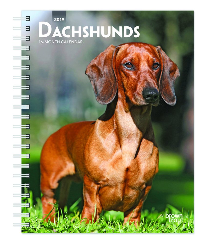 Dachshunds 2019 Diary