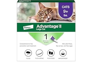 Advantage II Large Cat Vet-Recommended Flea Treatment & Prevention | Cats Over 9 lbs. | 1-Month Supply