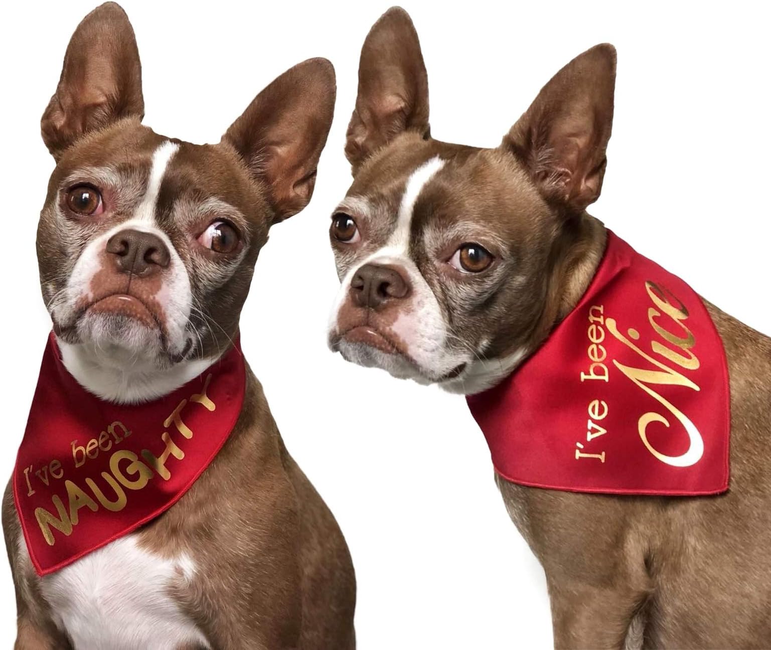 Tail Trends 2 Pack Christmas Dog Bandana with Assortment of Styles for Pet Gifts Fits Medium to Large Sized Dogs 100% Cotton