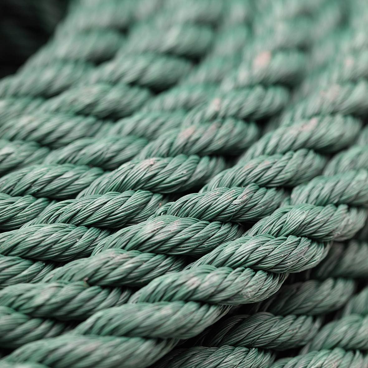 Flandria 20023 Polypropylene Rope Diameter 12 mm x 50 m, Green, 50 mètres - Image 3