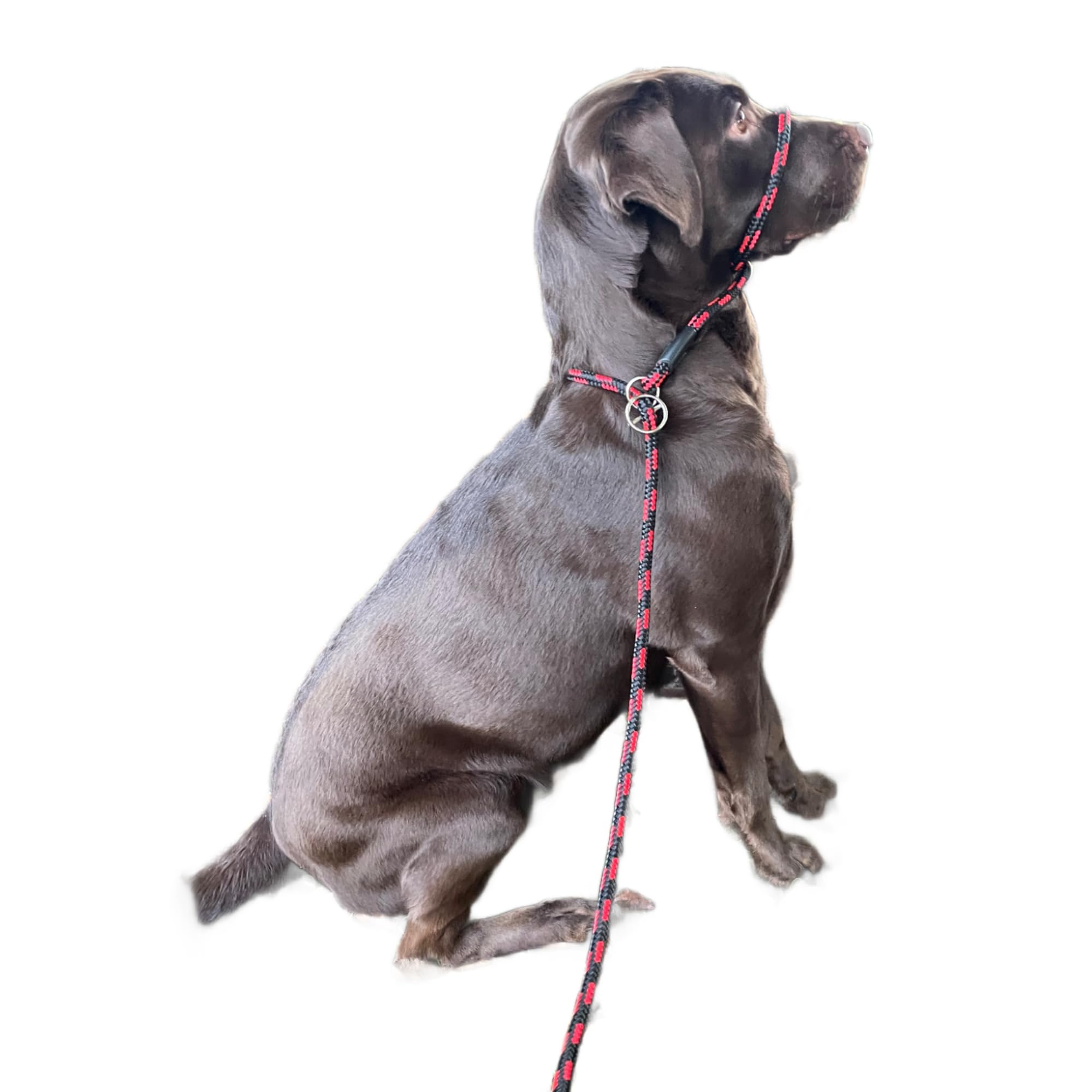 No More Pulling! Anti Pull Lead Field Figure 8 / Halter/Head Collar One Size Fits All Super Soft Braided Nylon Comfortable Make Your Walks More Enjoyable -Instructions Included (Red/Black)