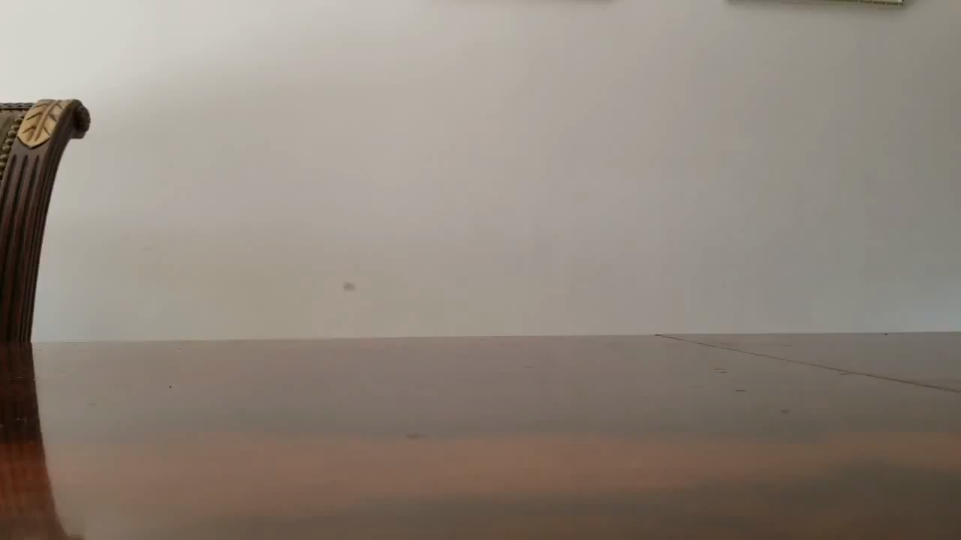 Exquisite Reflective (Silver Line) Plastic Plates-60 Peices Premium Heavyweight Plastic Dinnerware (30-10.25" Dinner and 30-7.5" Salad/Dinner) Wedding Like China - Image 6