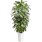 6FT Fake Tall Plant Artificial Dracaena Tree Indoor Faux Plants Indoor Luxury Fake Plants for Living Room Decor Artificial Tree Floor Plant White Planter