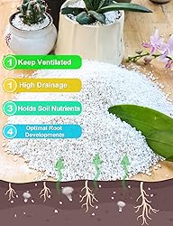 TOYPOPOR Perlite for Plants, 3-6mm Organic Perlite