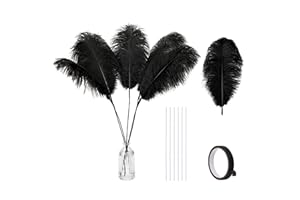 Holmgren Black Ostrich Feathers Bulk - 20pcs Making Kit 22 Inch Natural Ostrich Feathers for Vase, Floral Arrangement, Wedding Party Centerpieces and Halloween Home Decor (Black)