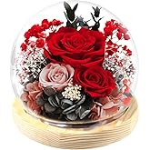 FIACO Valentines Day Gifts for Her Preserved Rose Forever Fresh Flowers for Delivery Birthday Gift for Women Mom Grandma Wife Mothers Day Anniversary Eternal Roses in Glass Dome