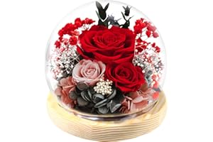 FIACO Preserved Rose Birthday Gift for Women Forever Fresh Flowers for Prime Delivery Gift for Mom Grandma Wife Valentines Mothers Day Christmas Anniversary Eternal Roses in Glass Dome