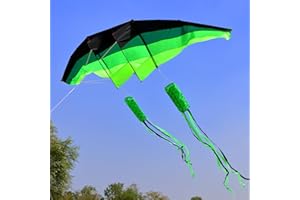 WEICAFLY Giant 3D Gliders Kite for Adults, 120" in Huge Single Line Beach Kite, Comes with Two 17ft 3D kite Tails, Large Kites for Adults