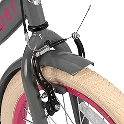 JOYSTAR Lola 20 Inch Kids Bike Girls Bike for 7-10