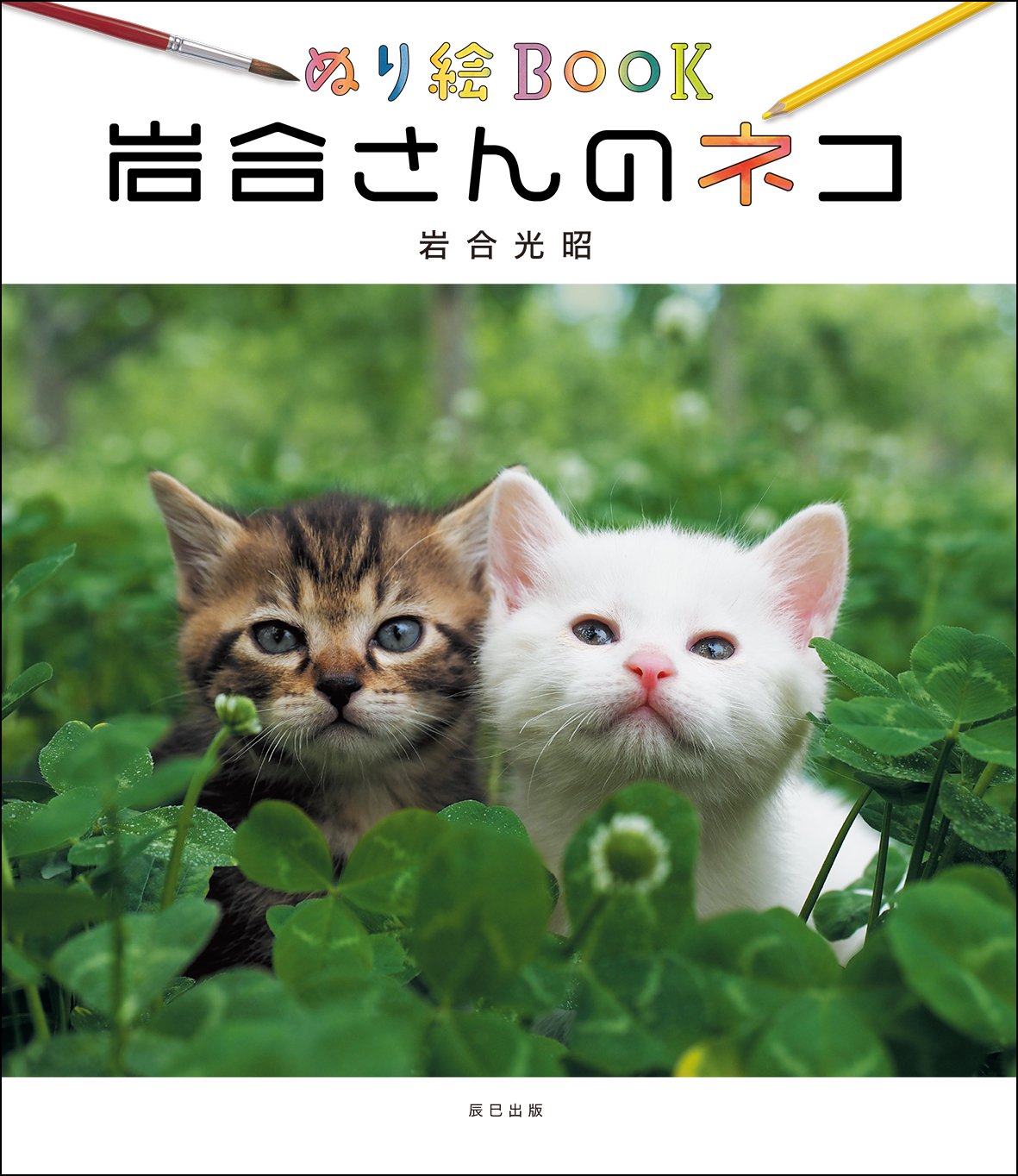 ぬり絵book 岩合さんのネコ 岩合 光昭 本 通販 Amazon