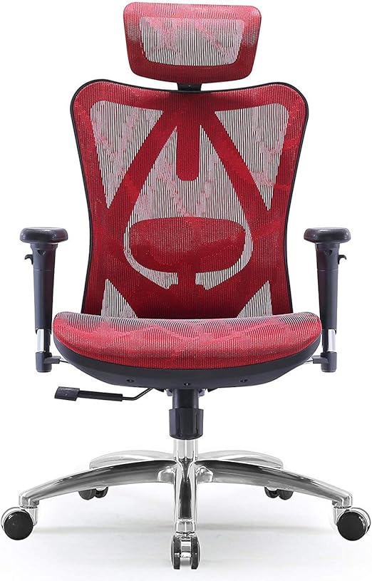 ergonomic back chair