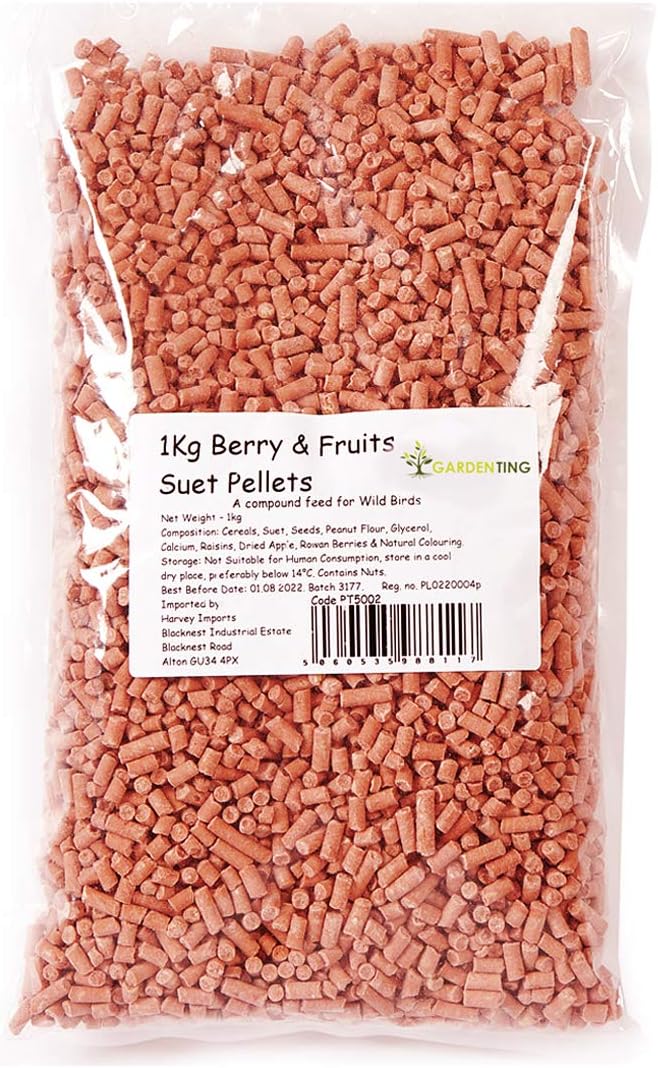 Garden Ting Berry Suet Pellets Wild Bird Food, 1 kg, 1000 count (Pack of 1)