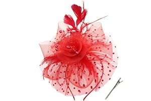 Durzasvo Women's Fascinators Tea Party Wedding Derby Mesh Flower Pearl Feather Fascinator Hat with Headband and Clip