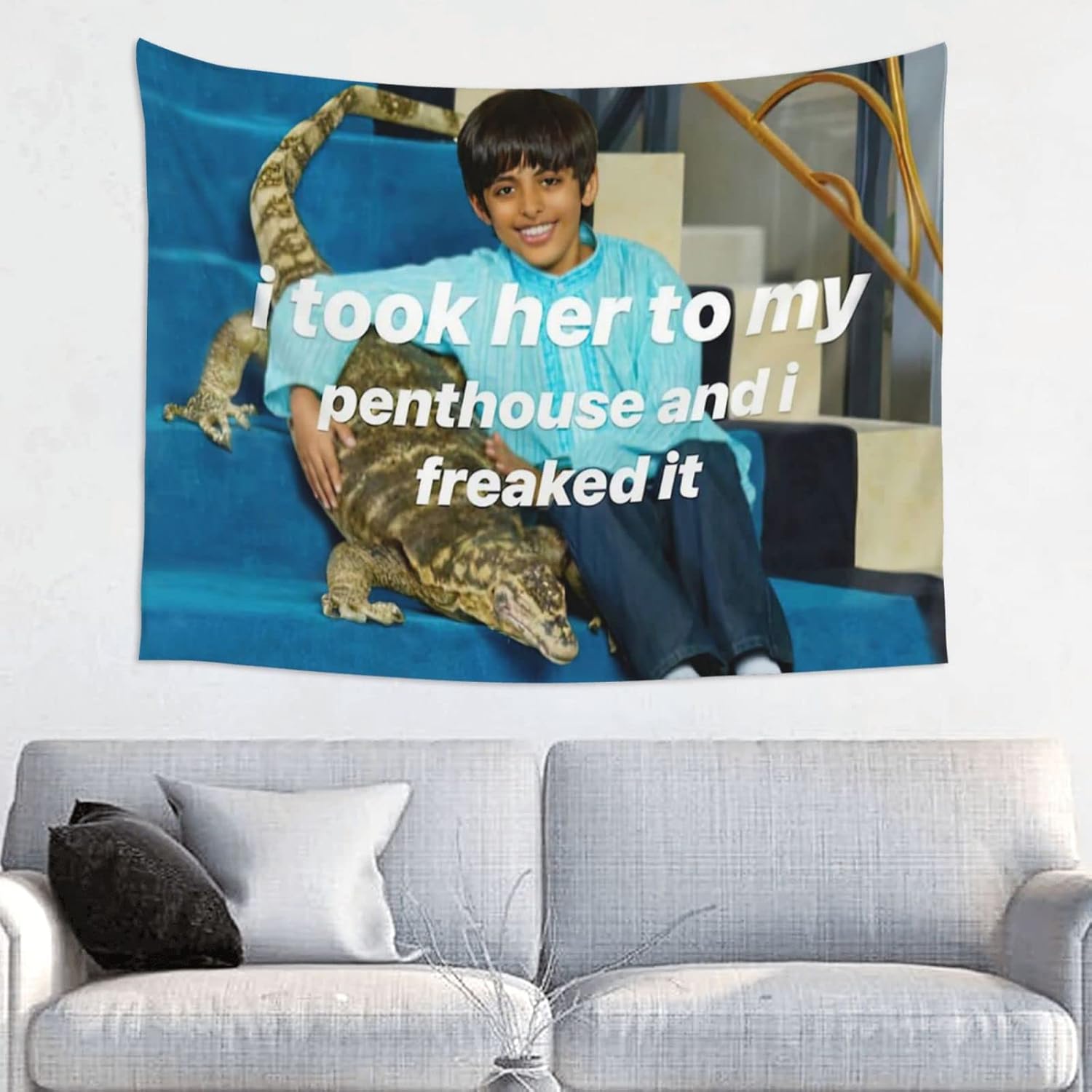 Tapestries - LWIEF I Took Her To My Penthouse Ravi Tapestry Meme Tapestries 29x38in Funny Tapestrys Aesthetic Dorm Backdrop Party Decorations For College Dorm Bedroom Art Poster