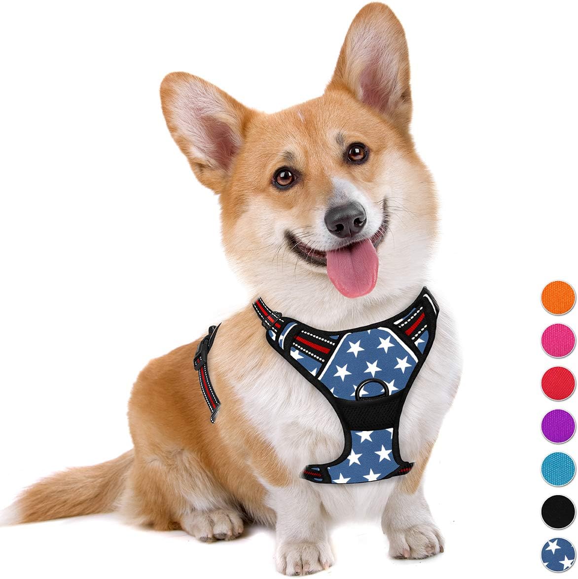 BARKBAY Dog Harness No Pull for Medium Dogs - Adjustable, Reflective, Comfortable, No Choke, Heavy-Duty - Perfect for Outdoor Training, Walking, and Hiking - Strong & Durable - M & Star