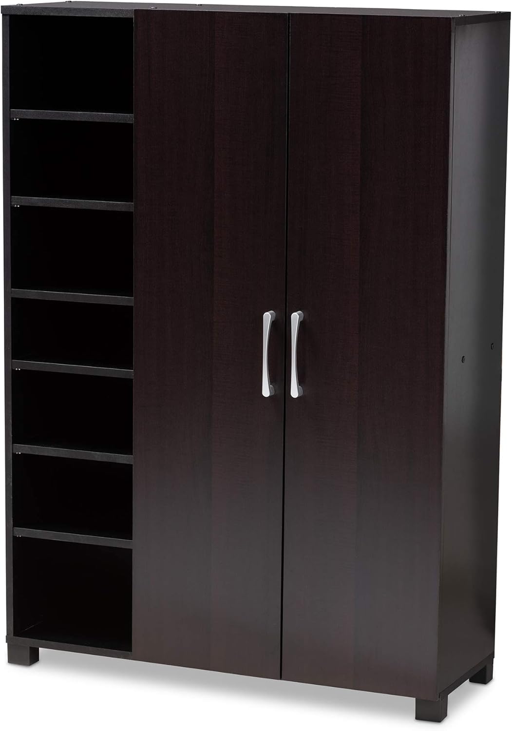 Best Shoe Cabinets With Doors And Shelves And Rack