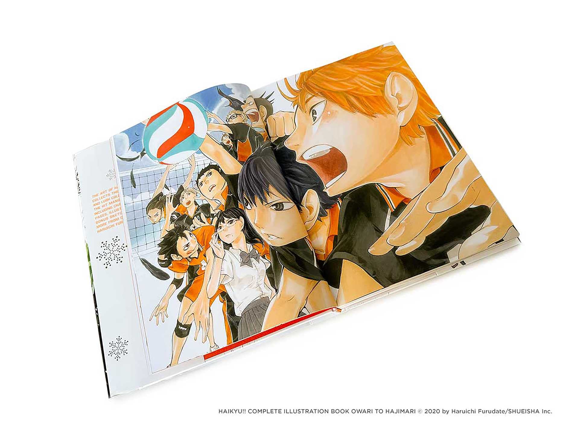 The Art of Haikyu!!: Endings and Beginnings The Art of Haikyu!!: Endings and Beginnings Hardcover
