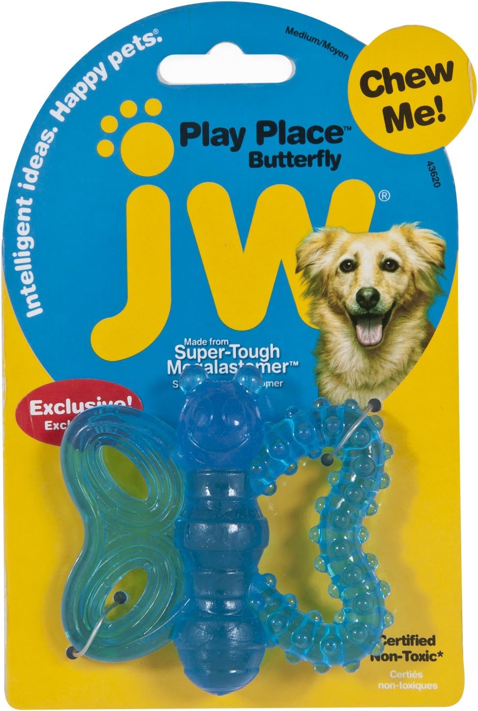 dog play place