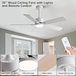 KENSID 48 Inch Ceiling Fans with Lights and