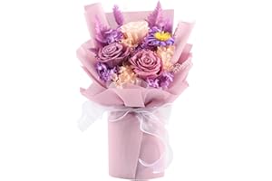 Fancemot Preserved Forever Flowers, Natural Real Long Lasting Roses Flowers, Gift for Valentine's Day, Mother's Day, Anniversary, Birthday