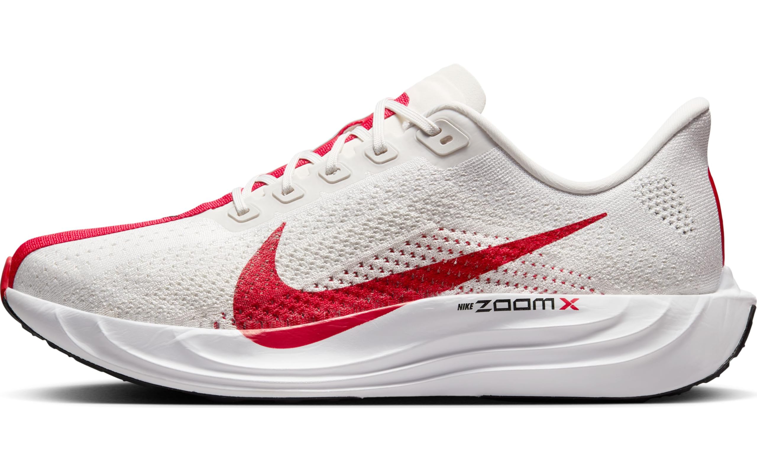 Nike Pegasus Plus Men's Road Running Shoes