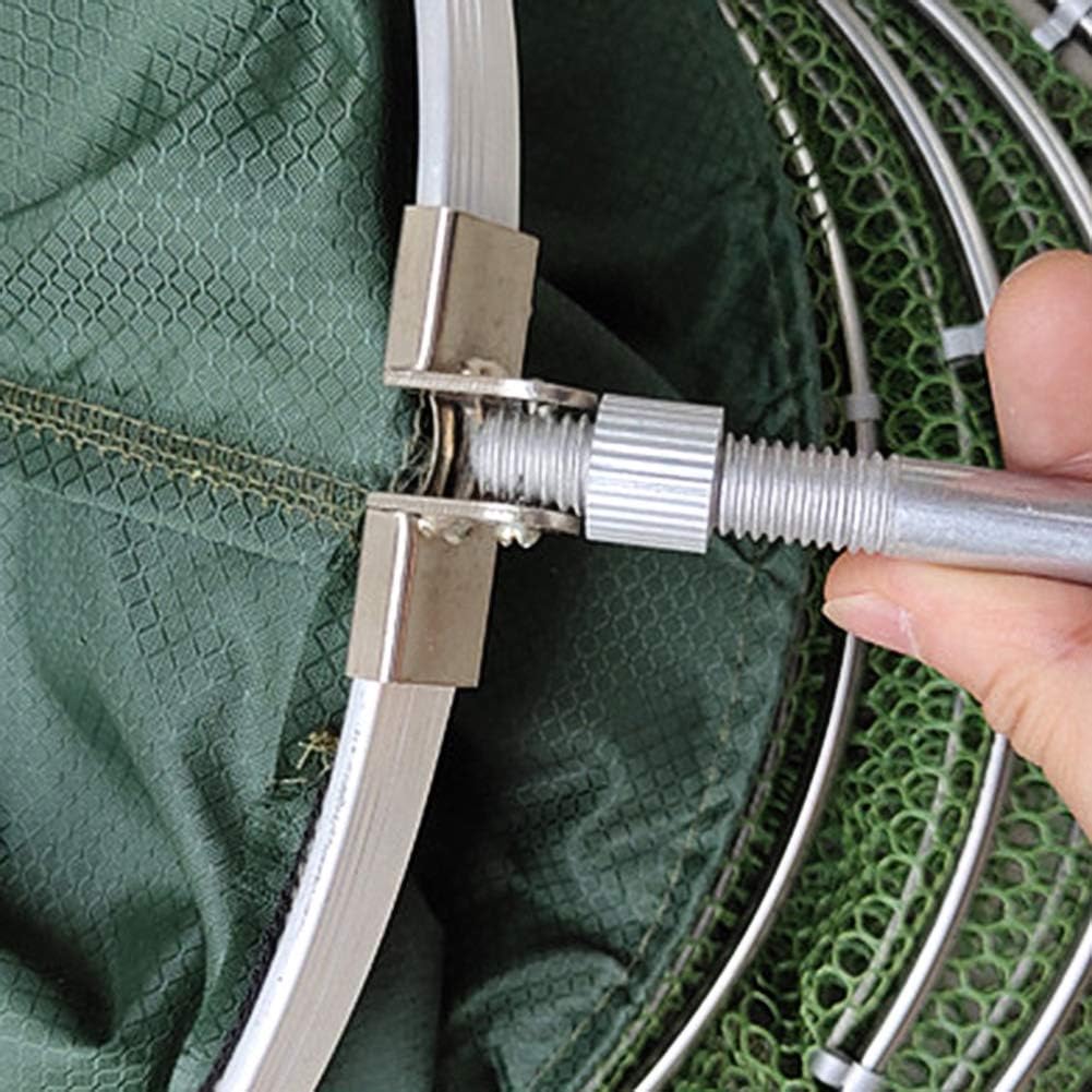 Daxin Double Stainless Steel Rings 5 Layers Collapsible Fish Care Net, Folding Shrimp Minnow Fishing Trap Dip Net, Cage 50kg Load : Sports & Outdoors