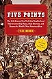 Five Points: The 19th Century New York City Neighborhood that Invented Tap Dance, Stole Elections, and Became the World's Most Notorious Slum