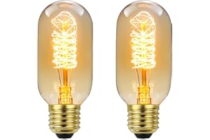 T45 Vintage Edison Light Bulbs,40 Watt T14 Antique Incandescent Light Bulbs 120 Volts E26 Base Dimmable Decorative Filament B
