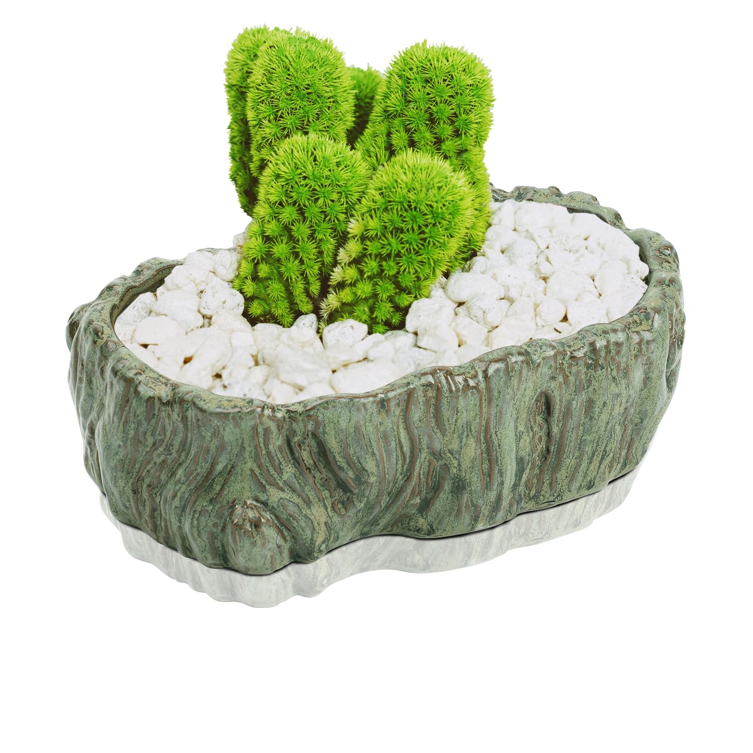 Photo 1 of Mozing Retro Succulent Planter Ceramic Flower Pot for Indoor Outdoor, Cactus Planter Pot with Drainage Hole for Home & Office Decor