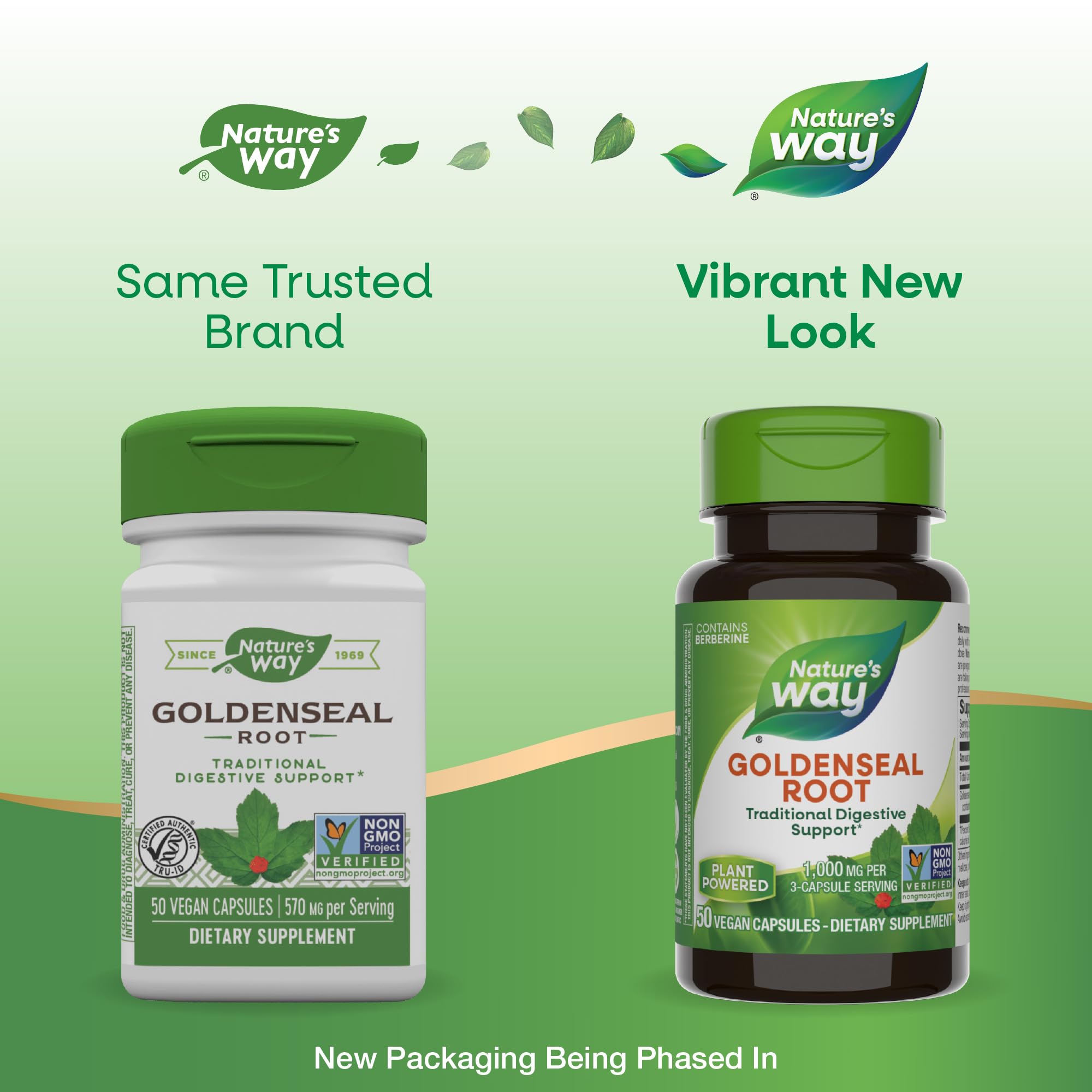 Nature's Way Goldenseal Root, Traditional Digestive Support, Berberine, Non-GMO Project Verified, Vegan, 50 Capsules (Packaging May Vary)