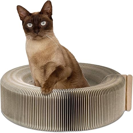 Amazon Com Pawaboo Cat Scratcher Lounge Bed Premium Collapsible Recycled Corrugated Cardboard Scratching Toy Pad Lounge Round Bed With Catnip For Cat Kitty Kitten Beige Pet Supplies
