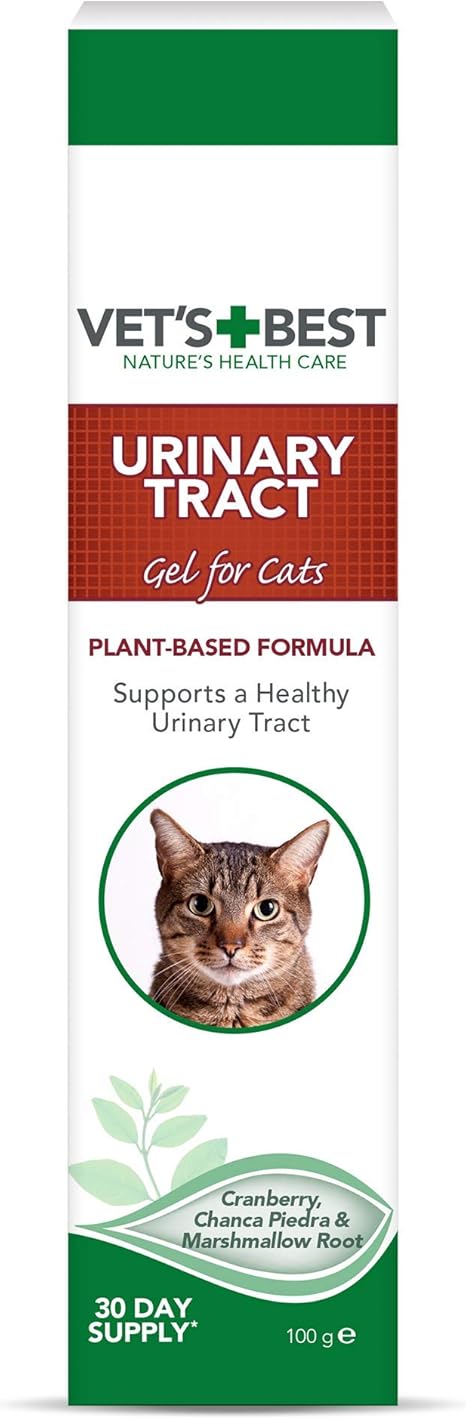 Cystite Mieux Epidemie Urinaire Dans Le Carnassier Plante Pour Infection Urinaire Chat