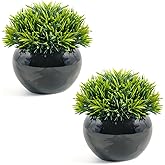 Velener Small Artificial Succulents Grass Desk Plant for Office, Fake Sage Plants for Shelf Decor, Mini Faux Plant Indoor, Masculine Home Decor, Coffee Table Decor, Bathroom Decor in Pot (2 Pack)