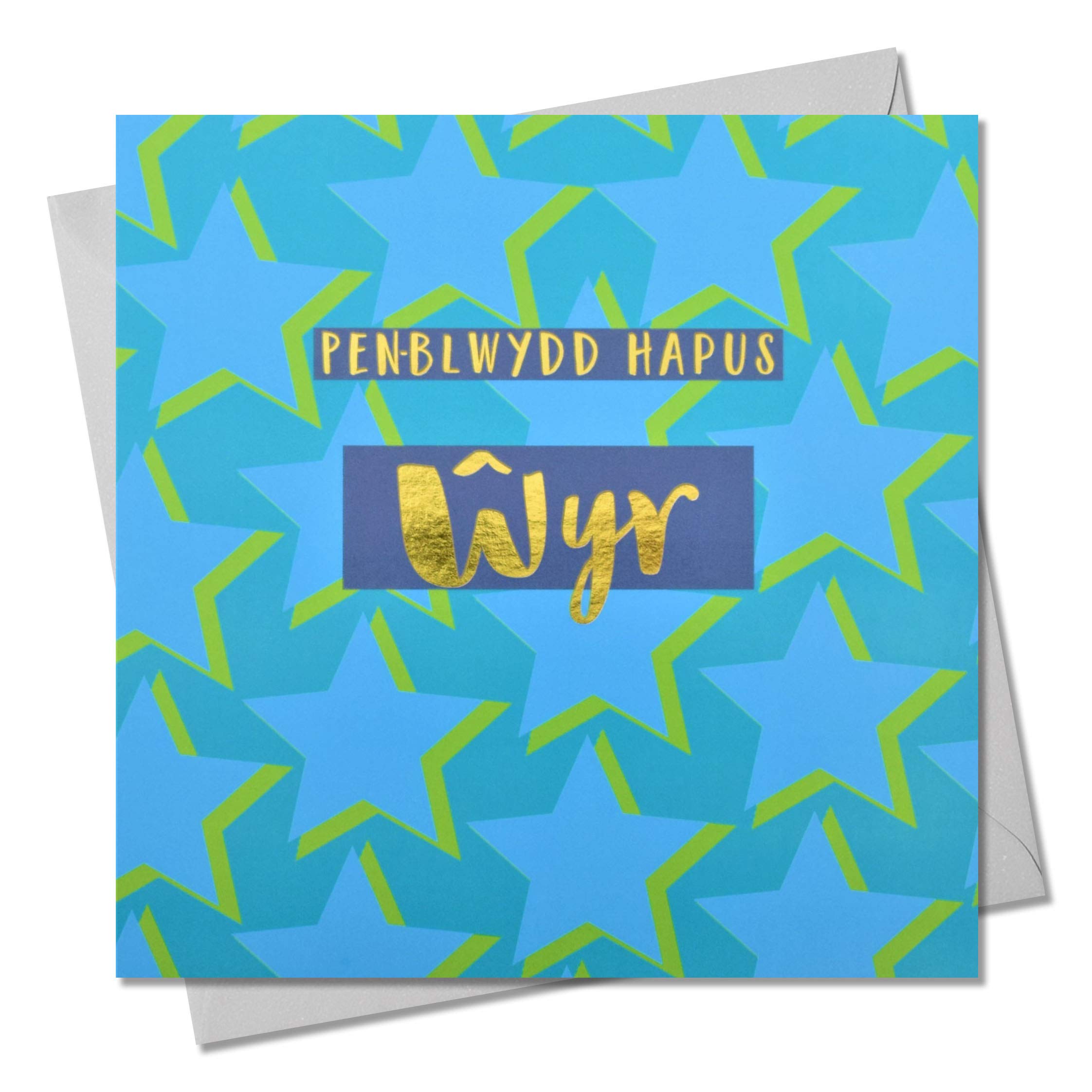Claire Giles Greeting Cards, Welsh Happy Birthday Grandson Card, Penblwydd Hapus wyr, Text Foiled in Shiny Gold