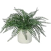 DuHouse Artificial Fern Potted Plant, Fake Greenery Plants in Pot, Faux Plant for Home Office Desk Shelf Bathroom Kitchen Farmhouse Tabletop Decoration