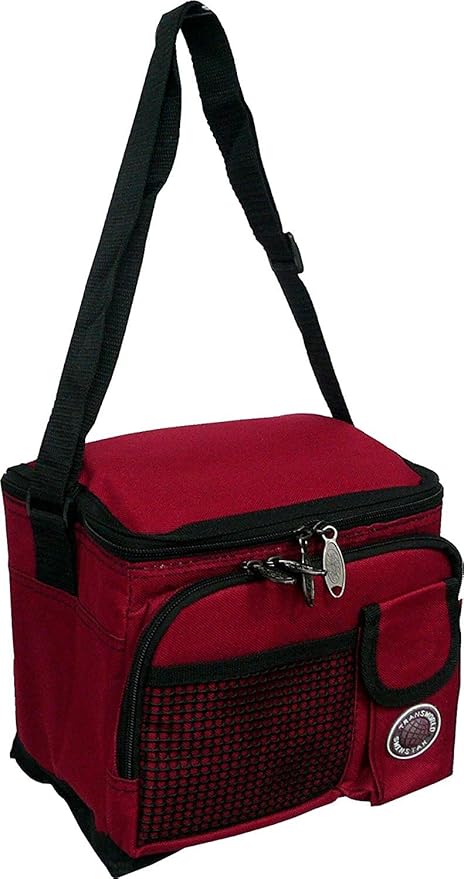amazon lunch cooler bag