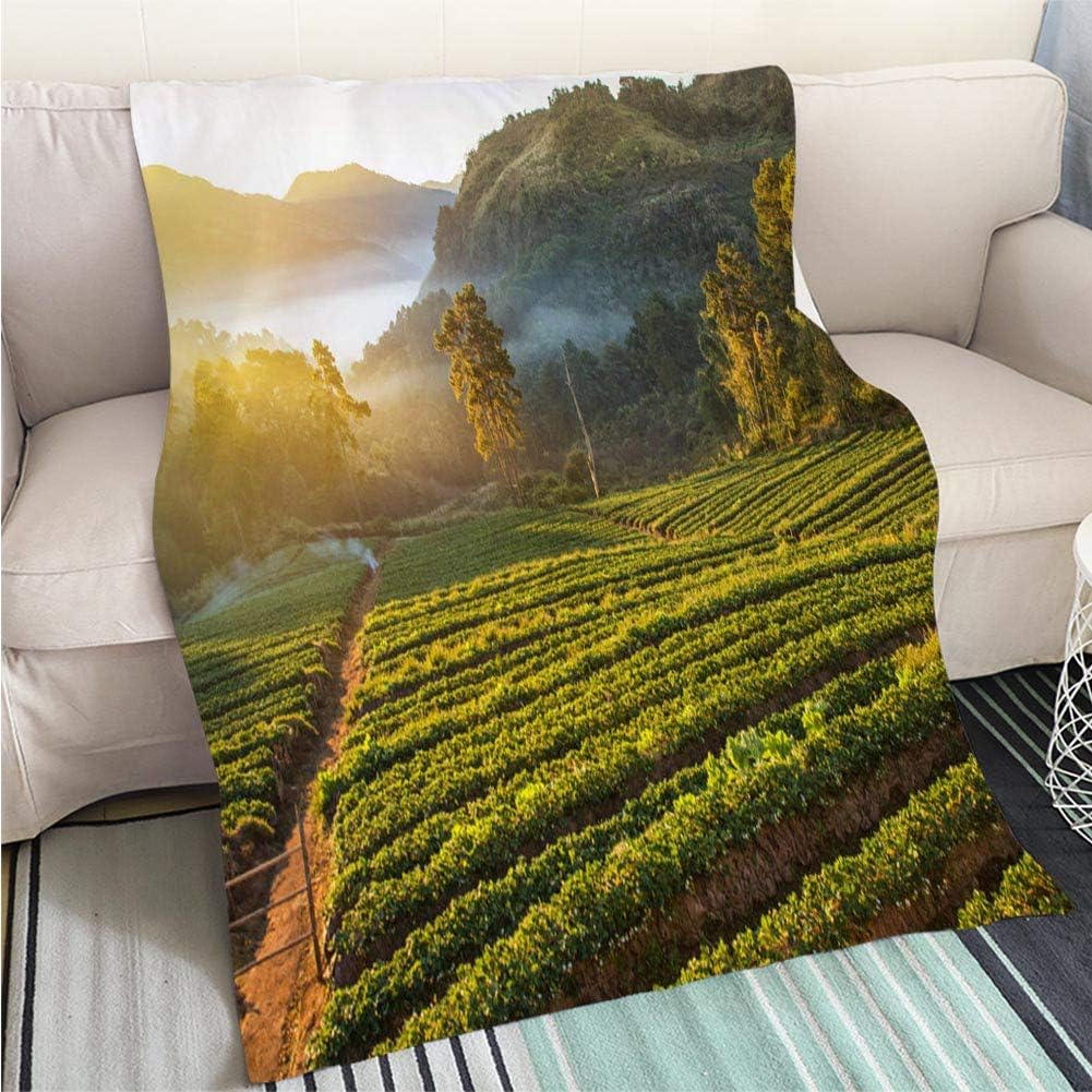 Best Terraced Strawberry Garden Bed