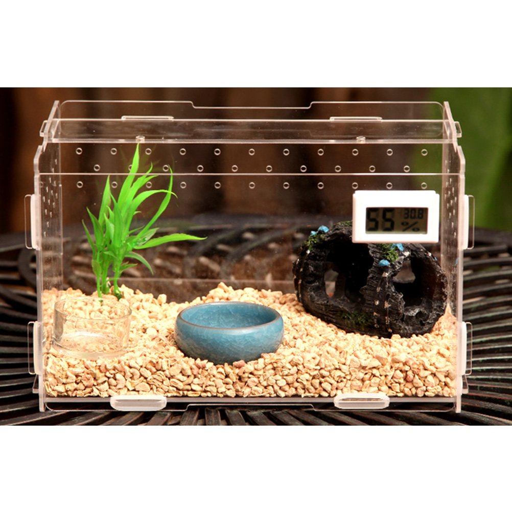 Zhhlinyuan Pets Spider Reptile Insect Lizard Habitat Set Cage Set