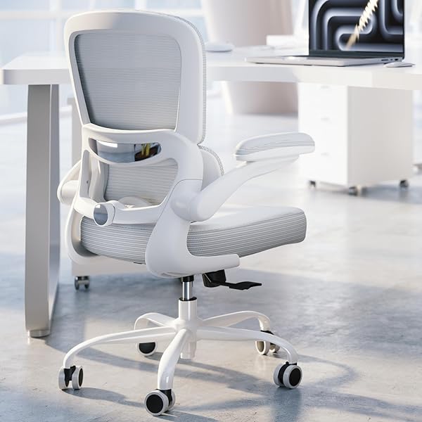 TRALT ERGONOMIC OFFICE CHAIR – DESK CHAIR WITH...