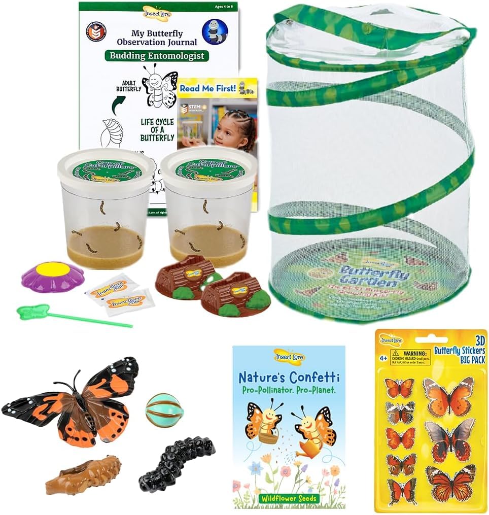 Mua Insect Lore Butterfly Garden As Seen On TV Butterfly Kit with