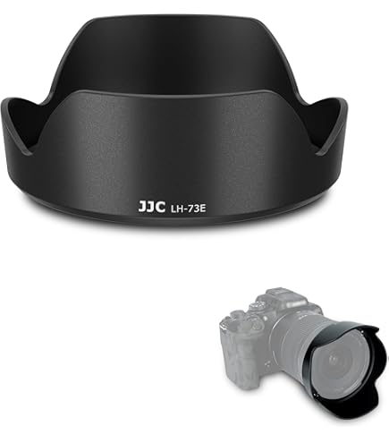 Canon RF16-28mm F2.8 is STM : Amazon.ca: Electronics