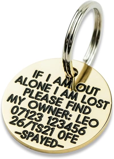 Engraving Studios Deeply Engraved Solid Brass 27mm Circular Dog Tag