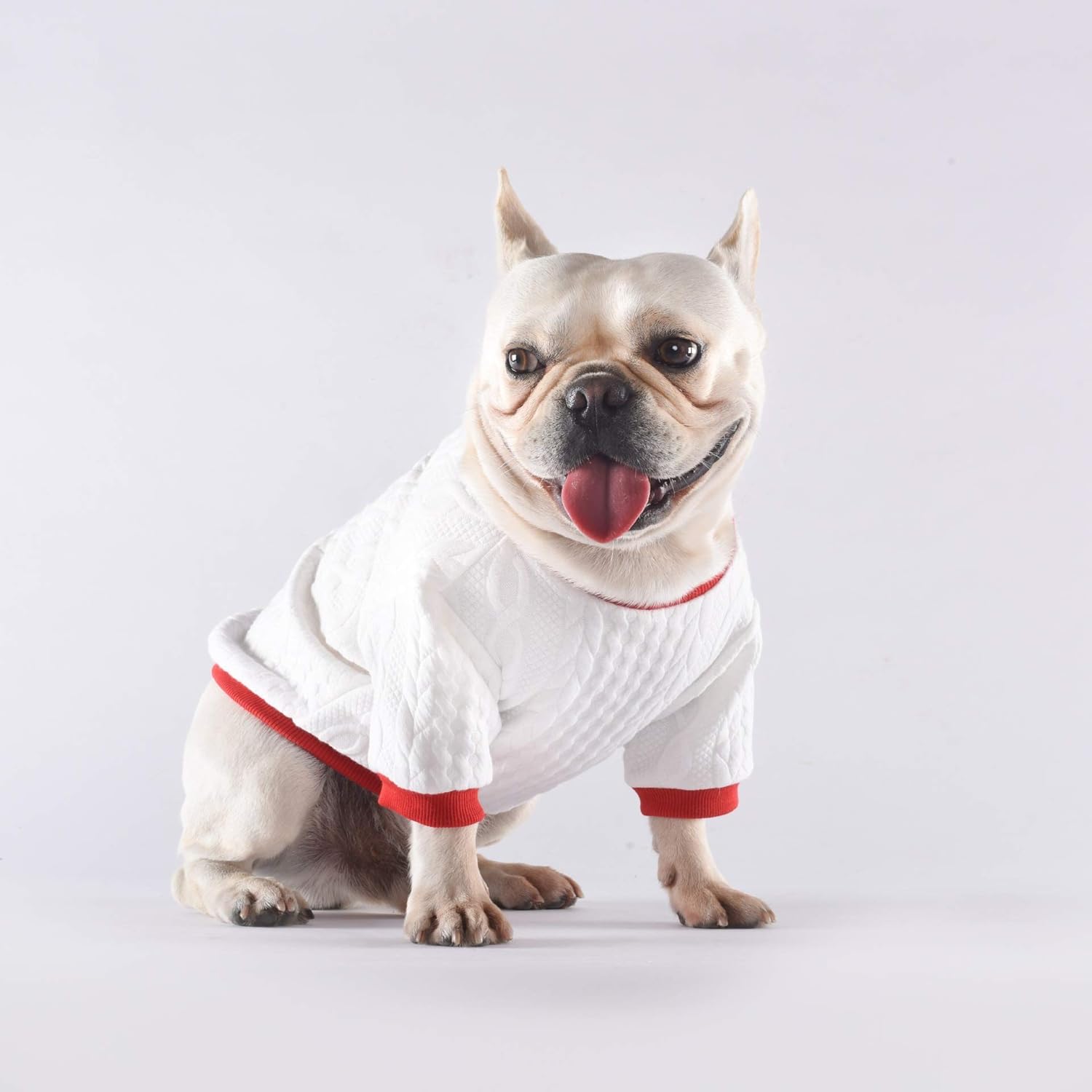 french bulldog puppy outfits