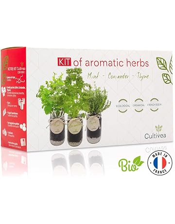 Amazon.es: Kits de cultivo en casa: Jardín