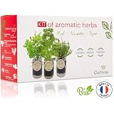 Minihuerto de hierbas aromáticas: Amazon.es: Jardín